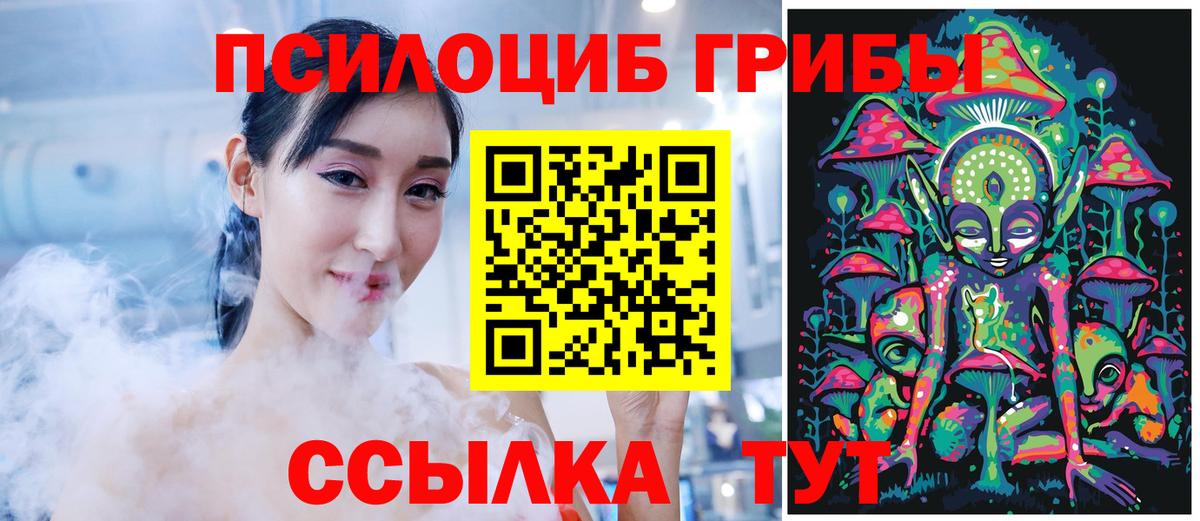 Полысаево  Галлюциногенные грибы Psilocybe  Вход с VPN 